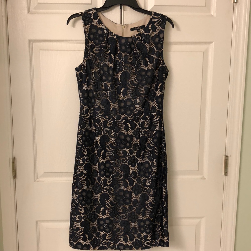 Alex Marie Navy Blue Lace Dress